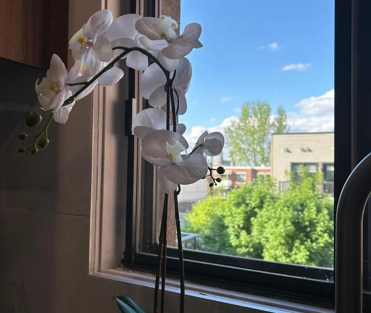 Orchid Lodgement Μόντρεαλ 0*,  Καναδάς
